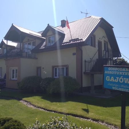 Agrogajowka Apartment Gniewino Luaran gambar